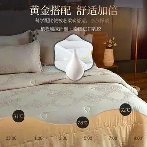 ��ҹ������ѡ��ʥ����ֲ�������齺�ñ���