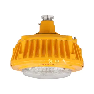 LED防爆灯隔爆型50W100W200W免维护节能防爆灯
