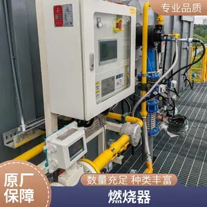 岱鼎600KW天然气燃烧器炭化炉可定制源头厂家