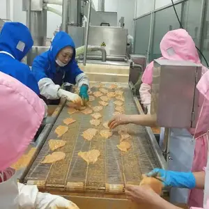 ������ѩ��Ƭ�� �Ͽ��������۸� �Ͻ����ۻ�