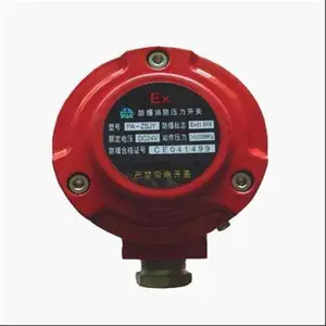 防爆消防压力开关 型号:PA011-PA-ZSJY库号:M391747