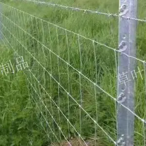 新疆草原围栏联系地址 新疆草叶金属制品供应