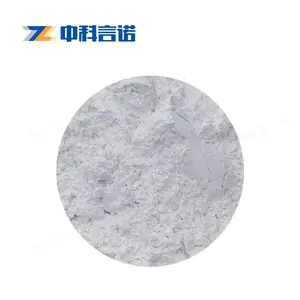 中科言诺高纯银粉 纯银粉 银粉末 1-10μm 均可定制