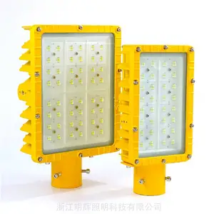 太阳能防爆路灯头LED100w