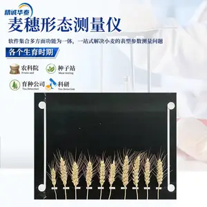 精诚华泰 HT-MSX-I 麦 穗形态测量仪 可同时获得20个麦穗穗长数据