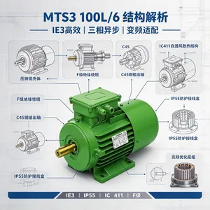�����OEMER MTS3 100L/6�����첽��� 1.5kW IE3 �÷�������豸��