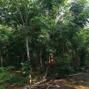 �����۸� 8���������۸� 9����������������