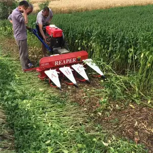 «έ������ǰ�ø�˻� ����С���ַ���ɹ��