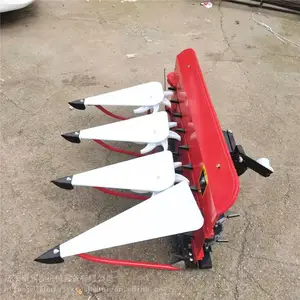 ����ʽ����«έ��� ˮ��������ɹ�� С������ո��
