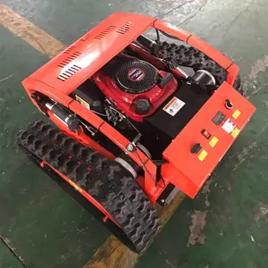 С�������Ĵ�ʽ��ݻ� ���¿��Ĺ�԰����ң�ذ������ݻ�
