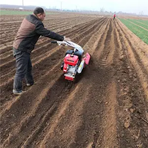 �н����������� ������¢������ ʡ���ַ��ڹ���