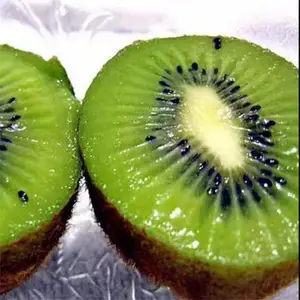 ⨺���Ʒ�� ���� ���� ���� ���ֵ� ���� ���� �� ���� �ƽ��⨺�����