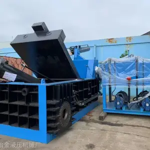��Ӧұ��ҺѹY81F-250�ֽ������������