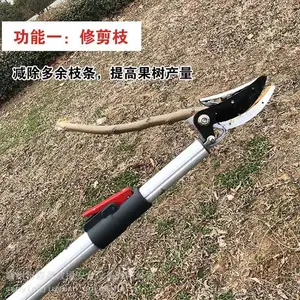԰�ֲɹ�ժ��������ʽ�߿�ժ���� ժ������֦�������˸�֦��