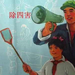 绵阳各县市区提供灭老鼠灭蟑螂灭蚂蚁技术支持,专业技术 全程跟踪