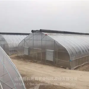 ���ҹ��ﾭ�����ó���ֱ��