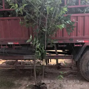 ��÷����2-3���Ӵ�����÷�������������
