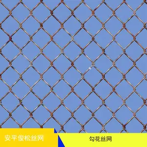 安平俊松丝网 建筑勾花丝网 生产厂家