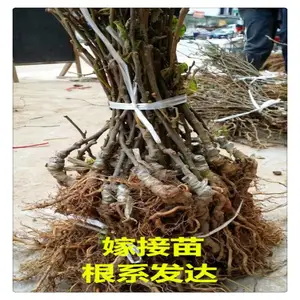 ̩��⨺�������� ����⨺����������� ��ϵ���� ���ʵ���