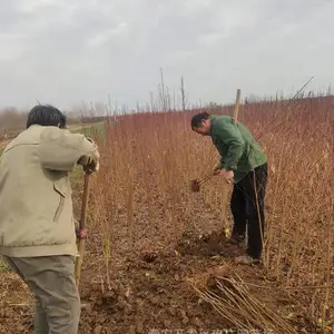 �����й����һ�С����� �������һ���������