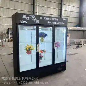 ��ѩ�ʻ����ʹ� ����չʾ��ع� �����ʻ���ع�