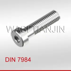 WASI 薄型内六角螺栓DIN7984 A2-70 M10*30 现货