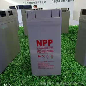 ����NPP����NP2-300 2V300AH UPS/EPSֱ�����������