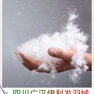 1000+清洁度水洗新国标80白鹅绒
