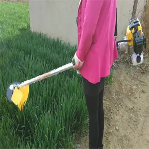 �ݳ���԰��ݻ� ����ʽ�Զ��ո�� ���ʽ���� �Ʒ�