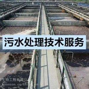 污水厂技术服务公司，污水厂技术服务，污水处理技术服务公司，上海春巡生物
