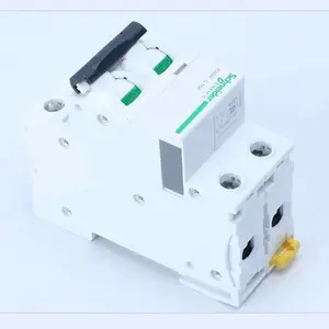 ʩ�͵�С�Ͷ�·�� IC65N 2P C50A ΢��-C���� �������߿տ�