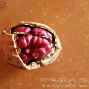 ��861��������������