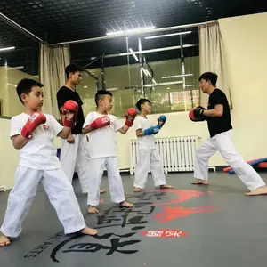 武馆专用地垫保护