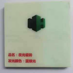 供应夜光瓷砖夜光陶瓷砖 发光地埋砖