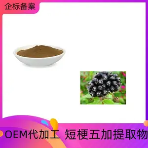 短梗五加浓缩粉 采用喷雾干燥工艺 水溶性好 无沉淀