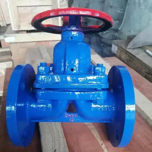 G41F46-16C �ķ���Ĥ�� PTFE/PFA̼�ֳ��ķ����﷧�� ��������