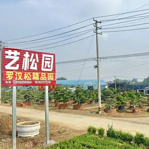 沭阳县闻香苗木园艺场