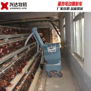 蛋鸡电动喂料车 阶梯式自动喂料车 潍坊兴达(在线咨询)