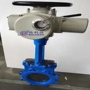 ������ ���ת ���ŵ綯װ�� DZW10-24 ��ͨ������ �綯ִ����