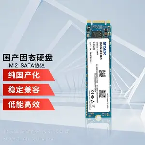 GITSTAR 集特纯国产化SATA固态硬盘M.2 2280国科微主控