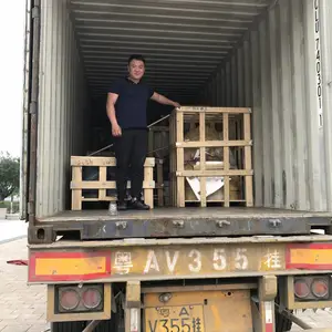 大连玻璃钢雕塑 海洋生物雕塑 游乐园配套 支持修改大小