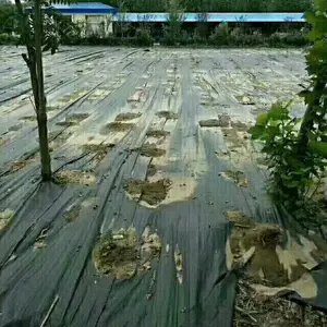 提供优质防草布