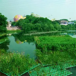 ��̬����ˮ����ֲ�ɻ��˹���̬����