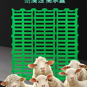 厂家直销羊用漏粪地板 家禽养殖塑料羊粪板 羊舍用的漏粪塑料格栅