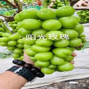 ���ֳ�������õ����������� ���۱��������õ����������
