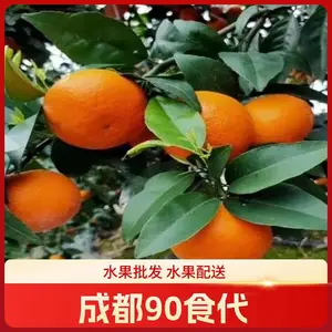 �� ��ˮ���� Ӧ �� ���� ��ˮ�������г����;Ƶ� ʳ�� ��λˮ������