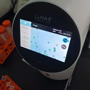外周血B细胞永生化服务 瑾萱生物 Cell Immortalization