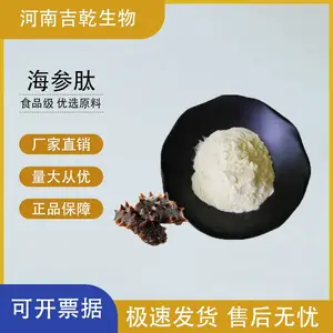 海参肽 鱼低聚肽粉复合固体饮料维生素速溶小分子 海参胶原蛋白肽