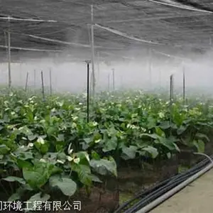 水云间景观 大棚全自动雾化喷雾机 智能雾森主机控制系统