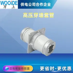 ���� 10KV��ѹĸ��ʽ��ǽ�׹� CM-10/90-160��ɫ�մ��׹�CMW-20